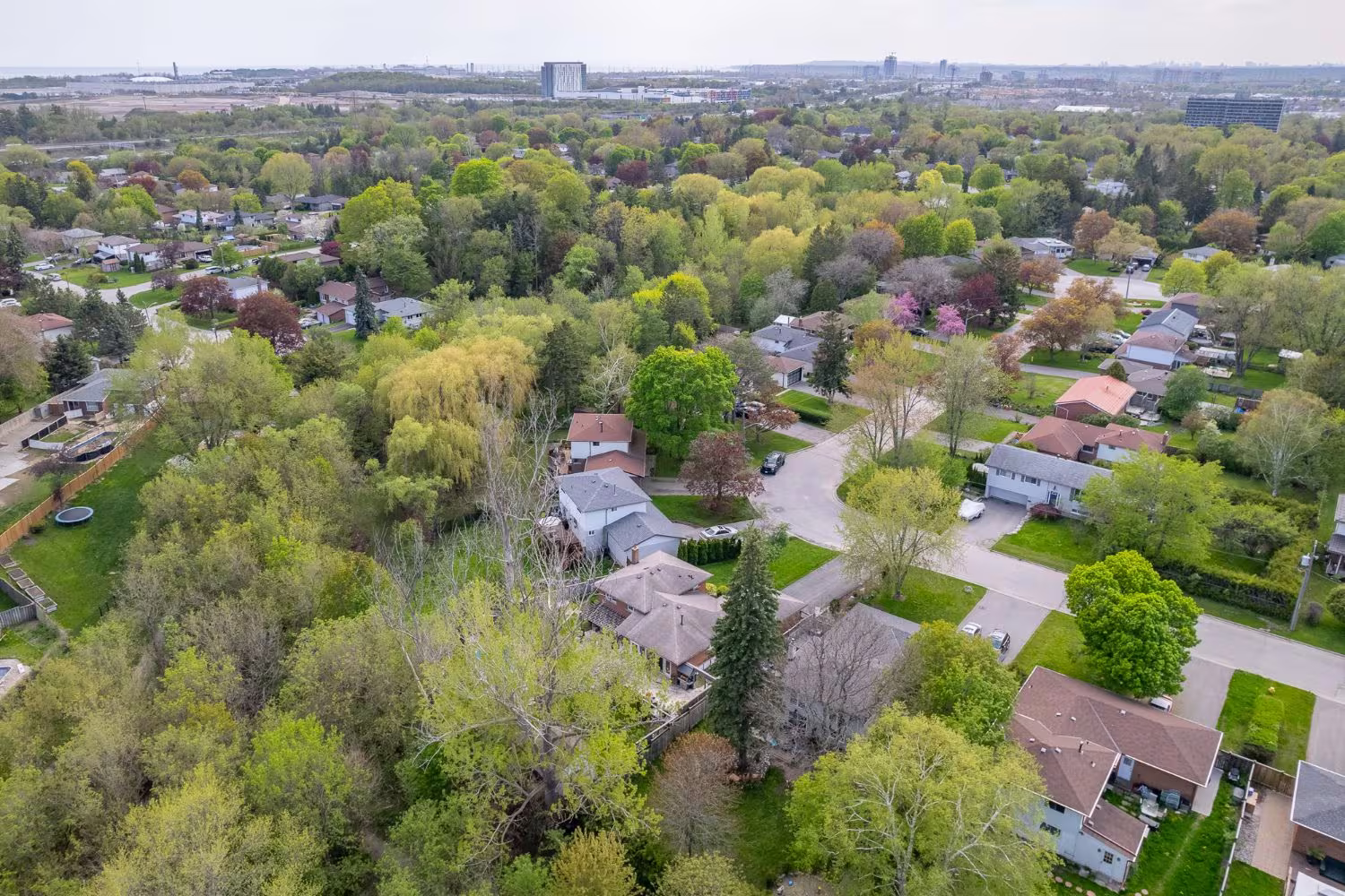 Aerial view of a wooded, established neighbourhood in Central West Ajax near Old Pickering Village