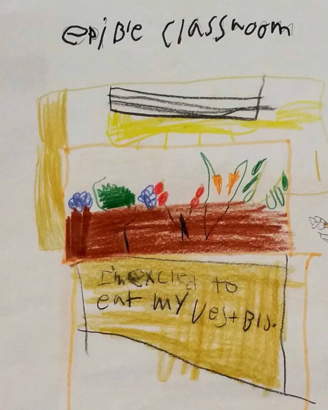 A colourful student drawing of what they imagine the garden will look like once the plants are growing. This activity was aligned with Ontario Art curriculum.