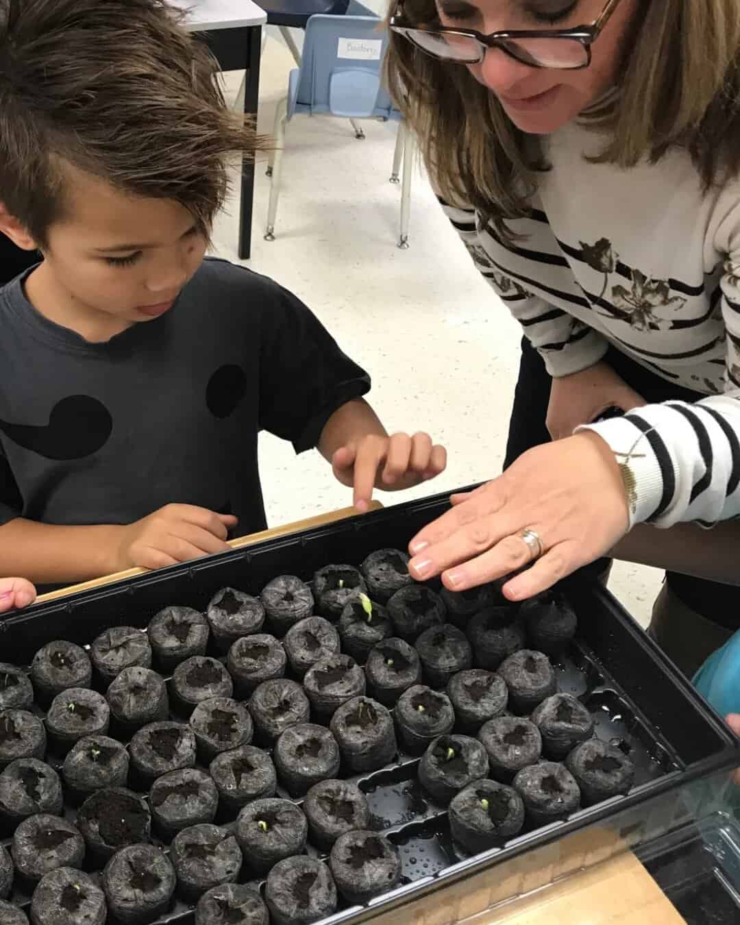 Realtor Laura McBride helps a Grade 1 Student observe the growth of their cucumber seed that has germinated.
