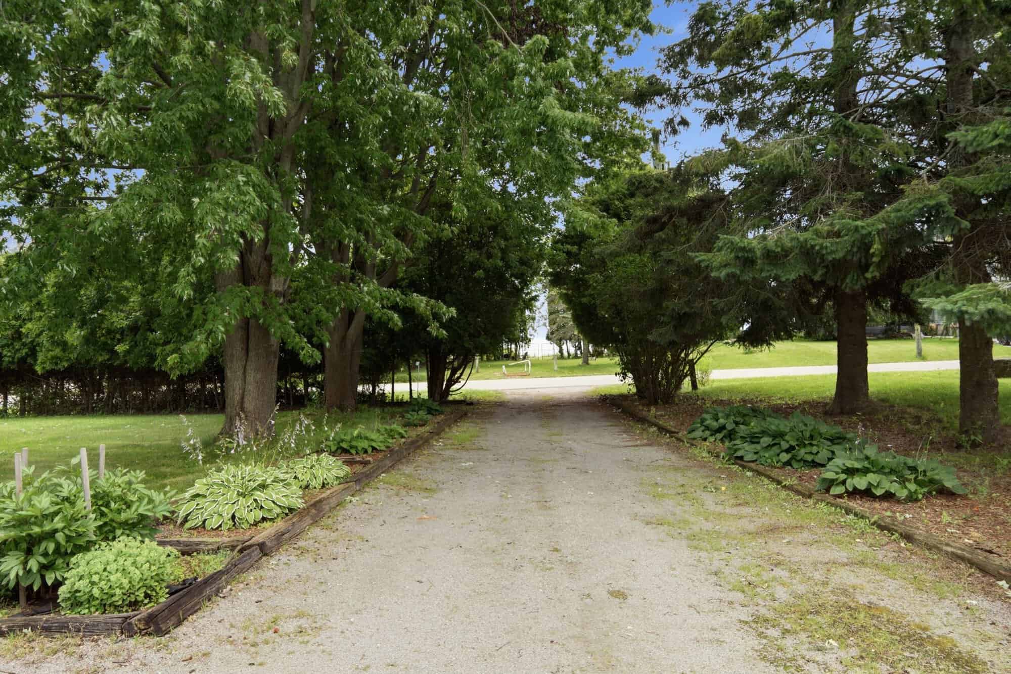 Tree-lined gravel driveway leading to the home, framed by mature maple and evergreen trees, landscaped gardens, and a glimpse of Lake Ontario beyond.